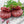 Load image into Gallery viewer, Deluxe Spicy Lamb Burgers (Pack of 12)
